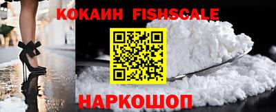 крисы Камышлов
