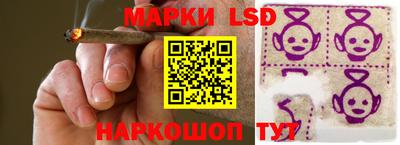 крисы Камышлов