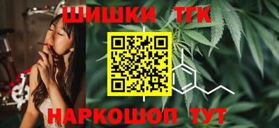 крисы Камышлов