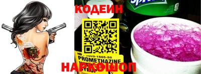 крисы Камышлов